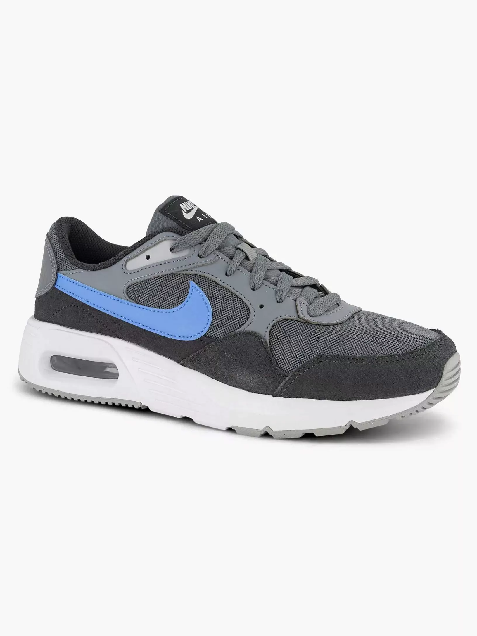 Heren Nike Grijze Air Max